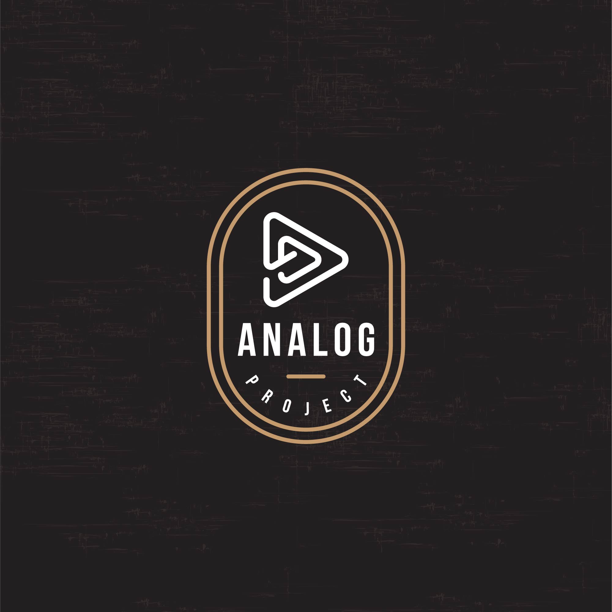 Logo for Analog Project, a video production company located near baton-rouge-la